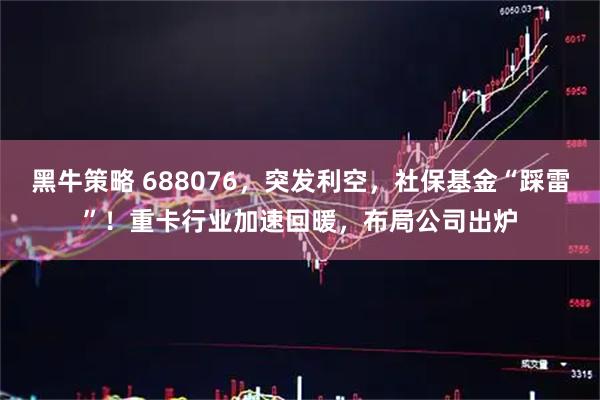 黑牛策略 688076，突发利空，社保基金“踩雷”！重卡行业加速回暖，布局公司出炉